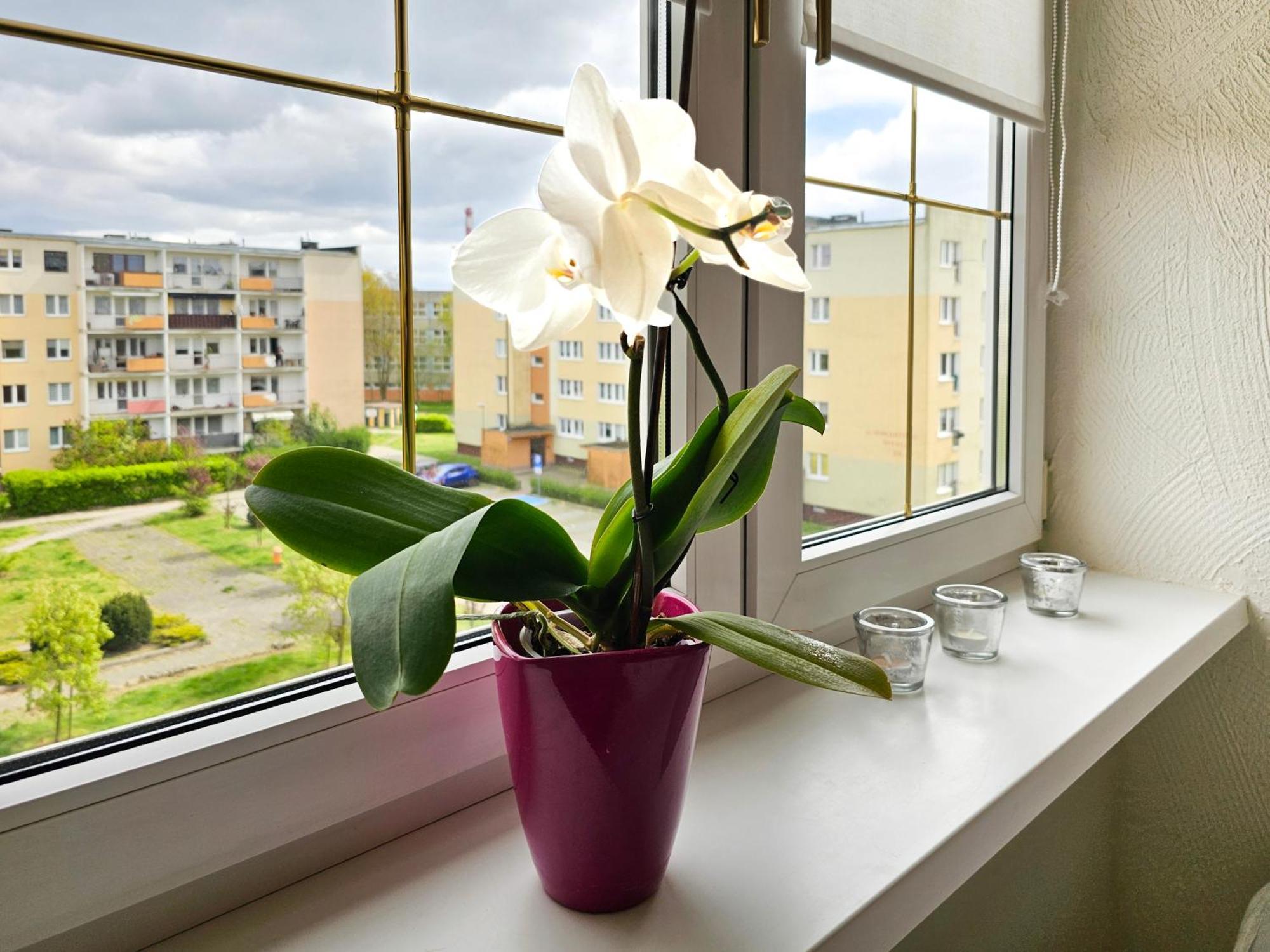 Visit Baltic - Apartament Sunny Svinoústí Exteriér fotografie